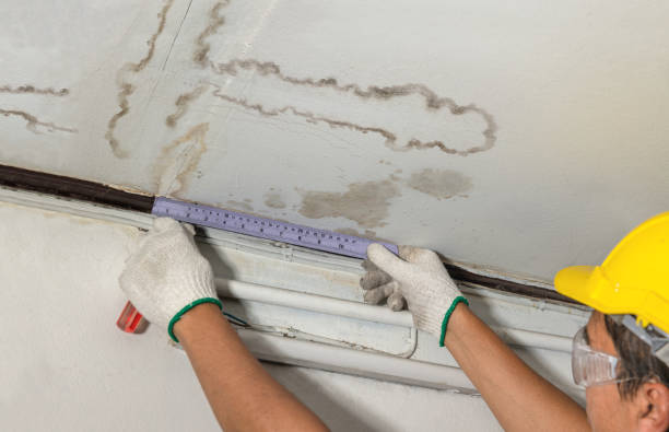 Reliable Water Damage contractor in Fitchburg, MA by Water Damage Irwin
